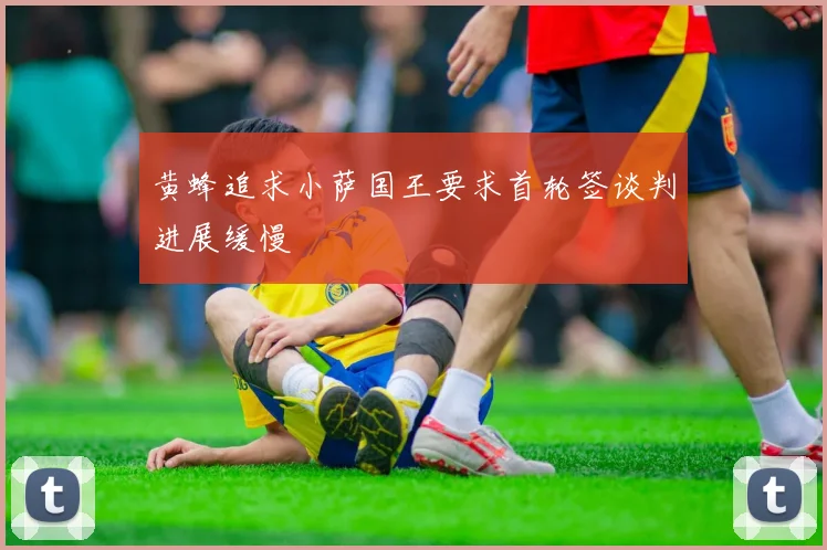 黄蜂追求小萨国王要求首轮签谈判进展缓慢