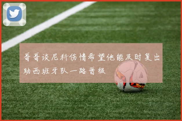 哥哥谈尼科伤情希望他能及时复出助西班牙队一路晋级